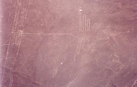 Nazca_kolibri.jpg